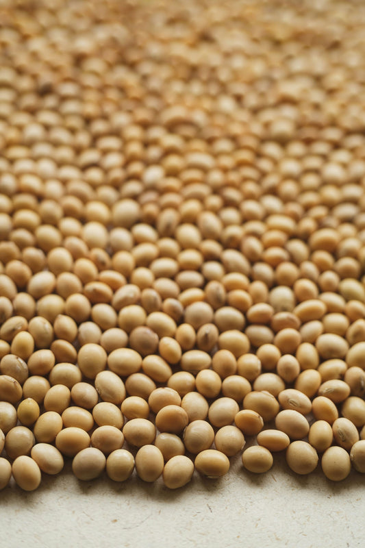 Soybeans