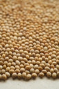 Soybeans